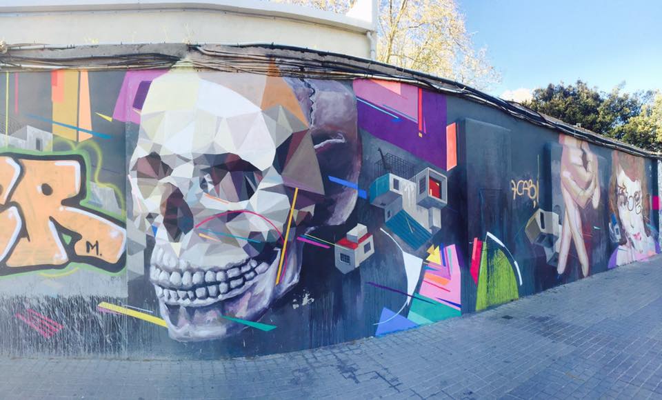 17424642_10210172095193853_4596234930122173861_n