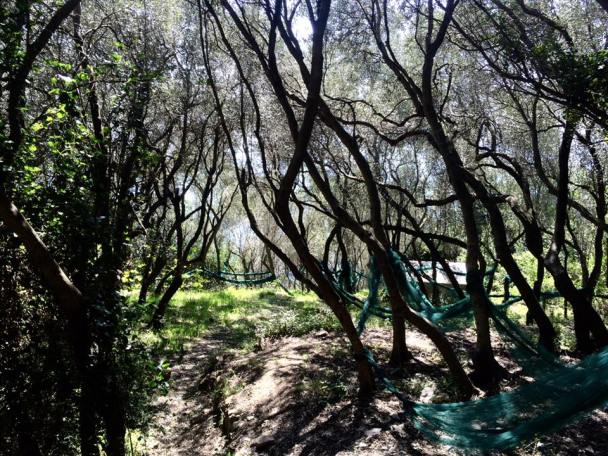 17799152_10210288098493863_6174196595964664356_n