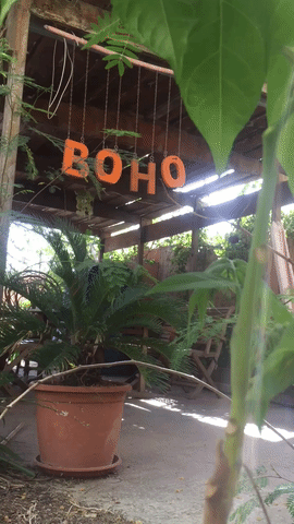 giphy (50).gif